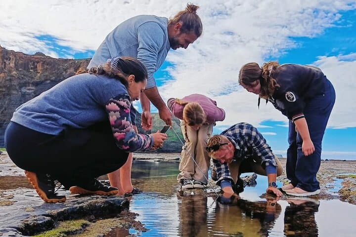 Monte Clérigo Tide Pool Safari: Guided Tidepool Walk in Costa Vicentina photo 4