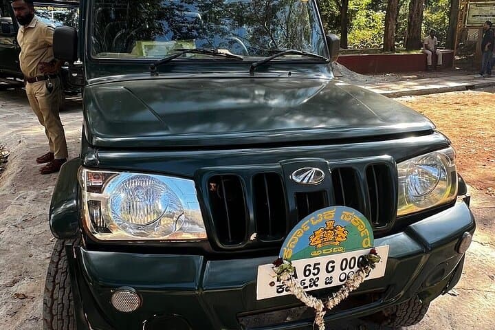 Hubli to Anshi National Park & Goa: Kali Tiger Reserve Safari and Coastal Escape photo 2