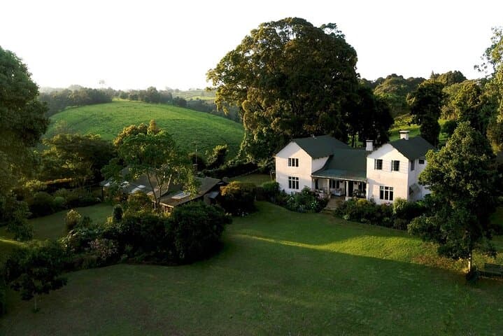 Kiambethu Tea Farm Day Tour: Tea Fields, Forest Walks & Ngong Hills Views