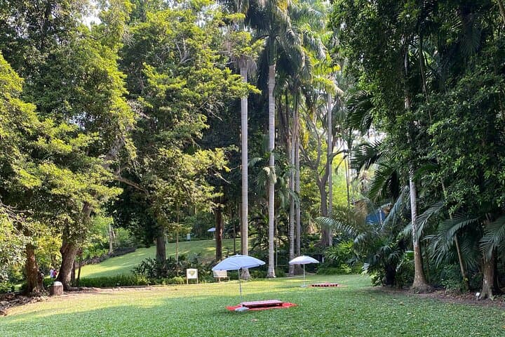 Cartagena Botanical Garden: Flora and Fauna Guided Experience with Local Oasis photo 2