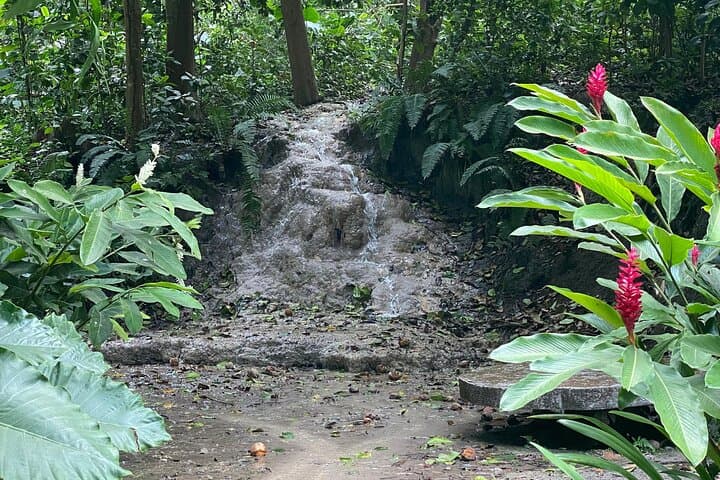 Cartagena Botanical Garden: Flora and Fauna Guided Experience with Local Oasis