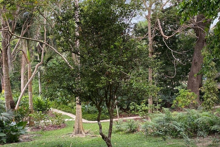 Cartagena Botanical Garden: Flora and Fauna Guided Experience with Local Oasis photo 4