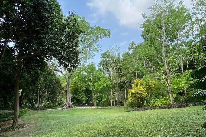 Cartagena Botanical Garden: Flora and Fauna Guided Experience with Local Oasis photo 3