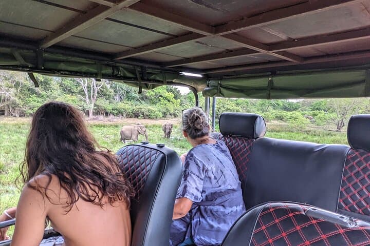 Yala National Park Full-Day Safari: Leopard Encounters & Coastal Wilderness photo 6