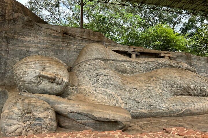 6-Day Highlights of Sri Lanka: Private Tour from Colombo to Yala & Mirissa photo 3