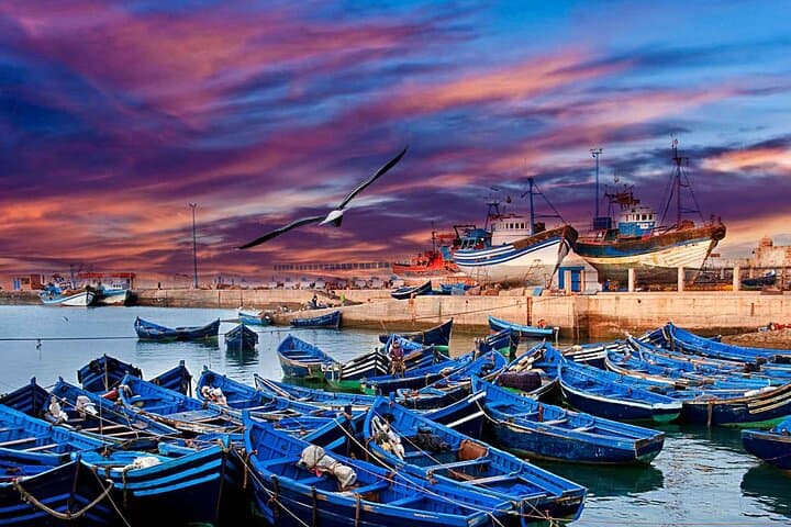 Essaouira Day Trip from Marrakech: Explore Mogador, Medina & Atlantic Coast