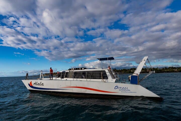 Wake Up with the Whales Cruise from Kawaihae Harbor