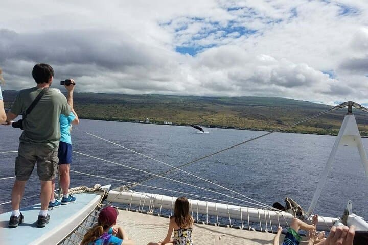 Wake Up with the Whales Cruise from Kawaihae Harbor photo 2