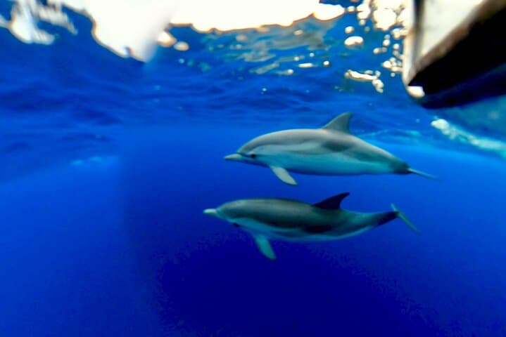 Taormina & Isola Bella Boat Tour — Snorkel the Blue Grotto and Sip an Aperitif photo 5