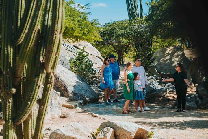 Full-Day Aruba Island Tour: History, Beaches, and Must-See Landmarks photo 5