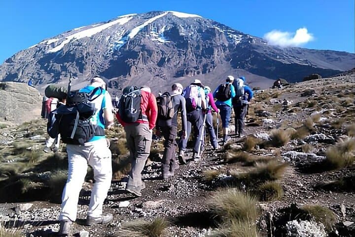 Lemosho Route Kilimanjaro: 8-Day Highlights and Summit Guide