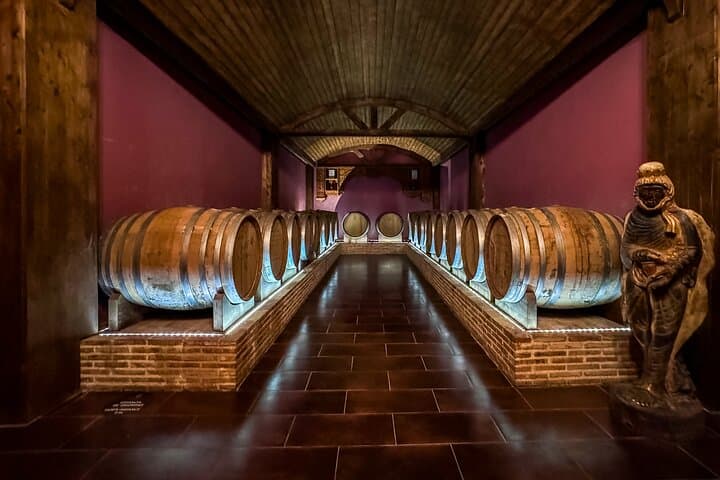 Costa Blanca Private Helicopter and Winery Tour from Benidorm photo 4