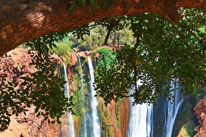 Full-Day Ouzoud Waterfalls Tour from Marrakech — Hike, Village Lunch & Views