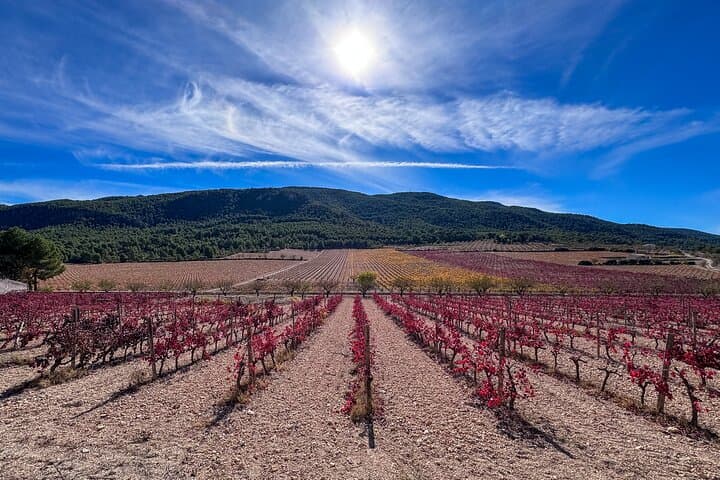 Costa Blanca Private Helicopter and Winery Tour from Benidorm photo 5