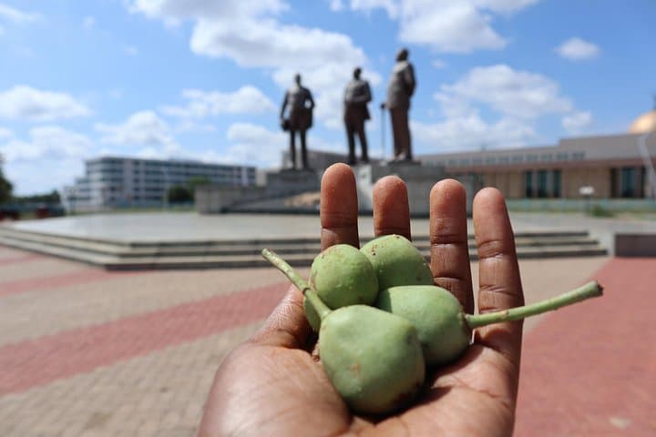 2-Day Gaborone Cultural Tour: Manyana Village, Rock Paintings & Mokolodi Game Drive