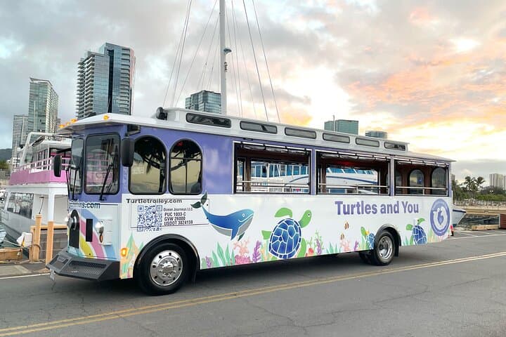 Waikiki Turtle Canyon Snorkel Cruise with Hula Show photo 6