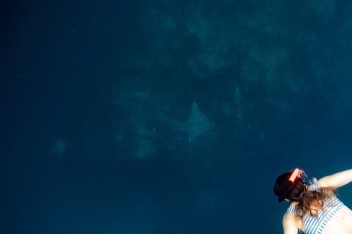Snorkel with Eagle Rays and Turtles in Rarotonga — Guided Photo Tour photo 6
