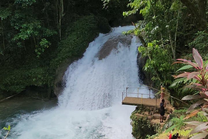 Falmouth Private Chauffeur: Custom Jamaica Shore Excursions & River Tubing photo 3