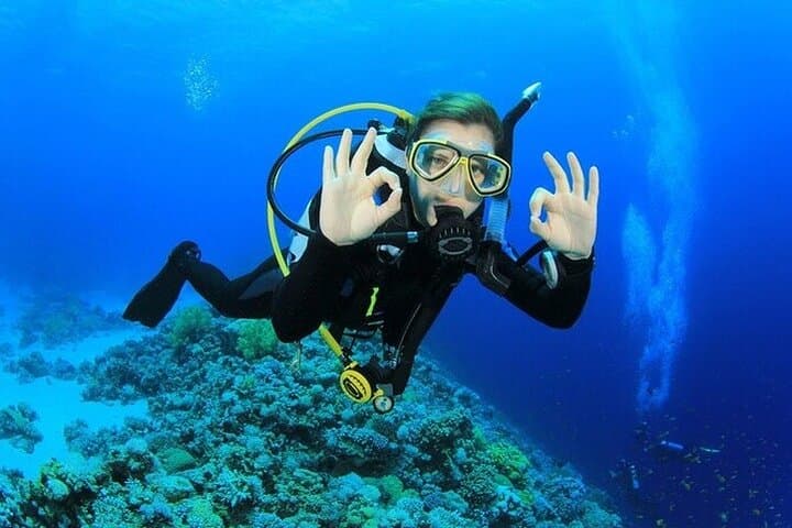 Side Underwater Museum Scuba Diving — Full-Day Dive with Transfer & Lunch photo 5