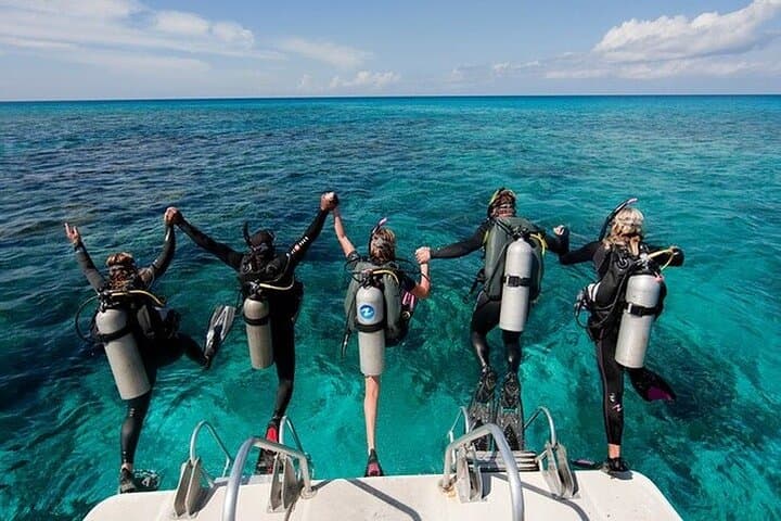 Alanya Full-Day Scuba Diving with Lunch and Hotel Transfer photo 6