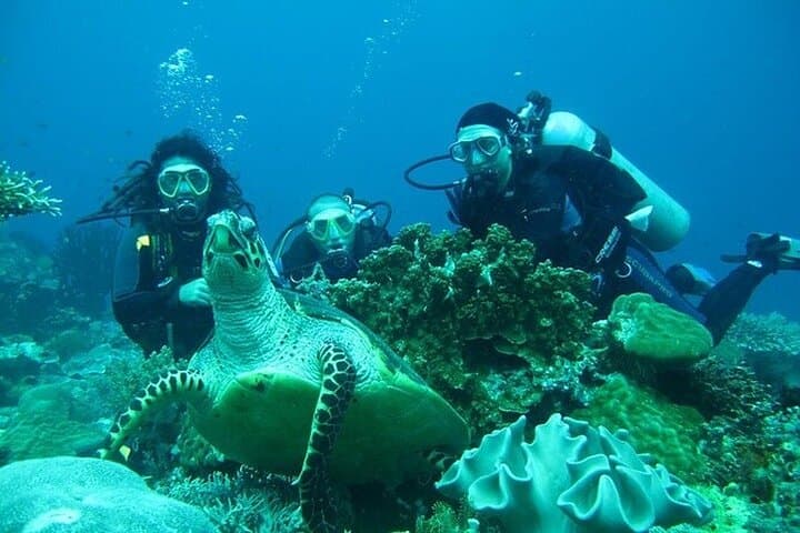 Alanya Full-Day Scuba Diving with Lunch and Hotel Transfer photo 5