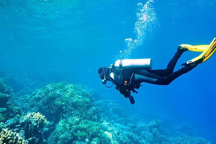 Antalya Scuba Diving From Belek, Lara & Kemer — Two Mediterranean Dives photo 3