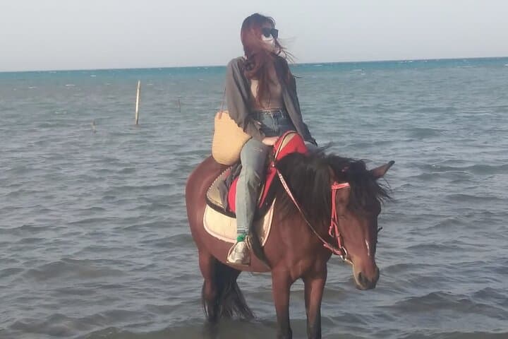 Beach Horse Riding in Hurghada: 1-Hour Guided Coastal Ride photo 3