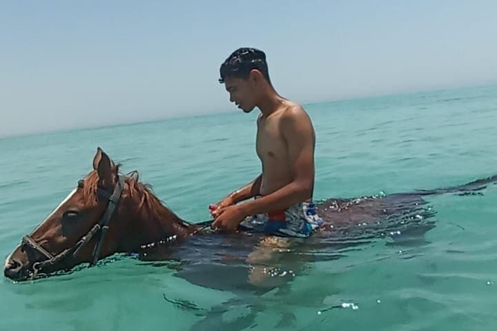 Beach Horse Riding in Hurghada: 1-Hour Guided Coastal Ride photo 4