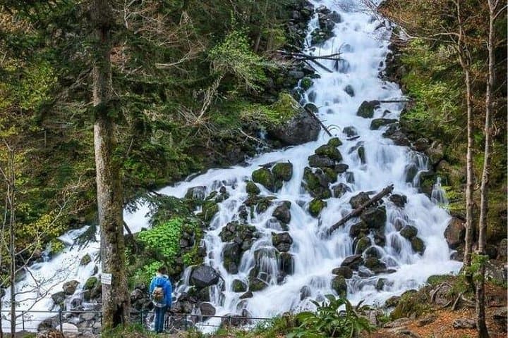 Guided E‑Bike Tour to Artiga de Lin: 4‑Hour Ride from Vielha into the Pyrenees photo 4