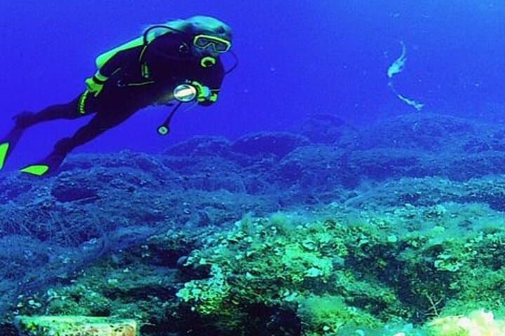 Side Scuba Diving Day Trip: Two Dives, Boat Lunch & Coastal Marine Life photo 4