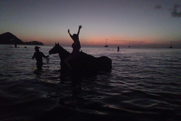 Sunset Horseback Ride & Beach Swim at Cap Estate — Dore's Riding Stable photo 2