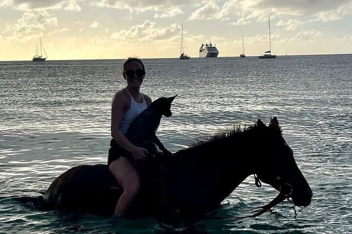 Sunset Horseback Ride & Beach Swim at Cap Estate — Dore's Riding Stable photo 5