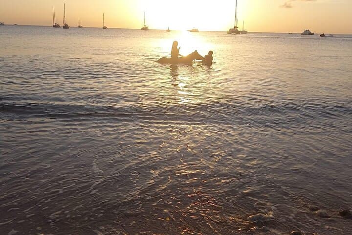 Sunset Horseback Ride & Beach Swim at Cap Estate — Dore's Riding Stable photo 3