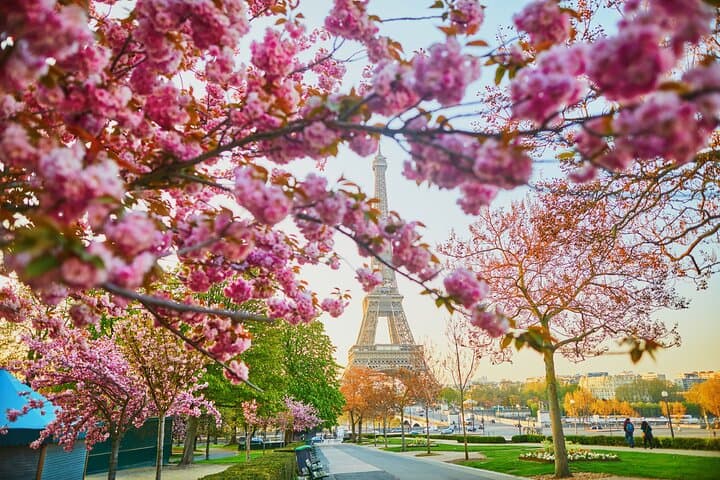 Half-Day Private Tour of Paris from Airport with a Local Guide
