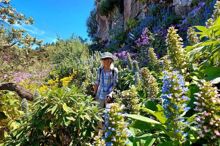 Green Gran Canaria Blossom Hikes — Small‑Group Guided Walks photo 3