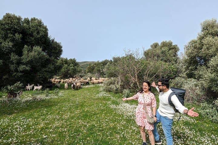 Llogara to Marmiroi: Coastal Hike, Orikum Archaeology & Karaburun Views photo 4