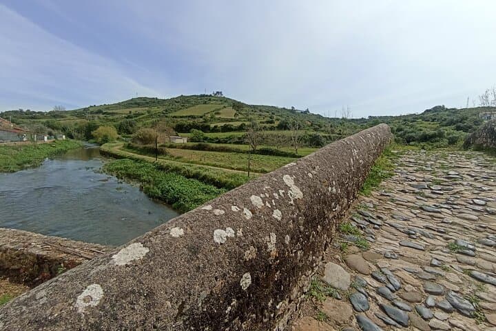 Hike and Wine Tasting in Cheleiros: Ericeira's Volcanic Trails & Wineries