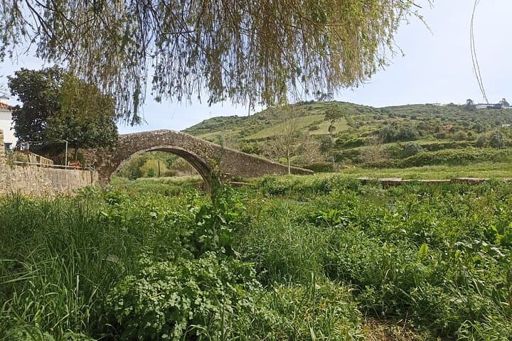 Hike and Wine Tasting in Cheleiros: Ericeira's Volcanic Trails & Wineries photo 5