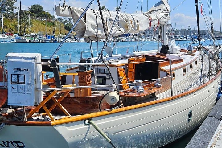 Big Boat Sailing Oceanside: 4-Hour Whale & Dolphin Cruise on a 45ft Yacht photo 1