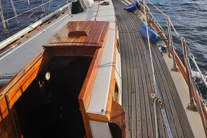 Big Boat Sailing Oceanside: 4-Hour Whale & Dolphin Cruise on a 45ft Yacht photo 2