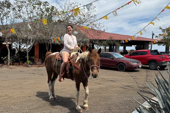 Mazatlán Jungle and Beach Horseback Ride with Mezcal Tasting photo 3