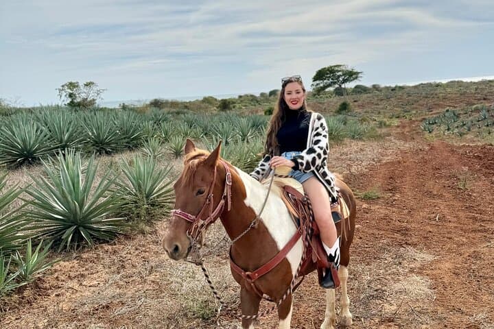 Mazatlán Jungle and Beach Horseback Ride with Mezcal Tasting
