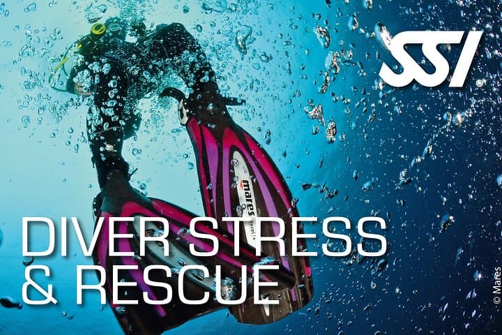 Tamarindo Rescue Diver Course: Learn Incident Management and Rescue Skills photo 2