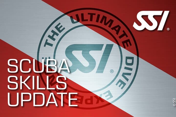 Tamarindo Scuba Refresher: Half-Day Pacific Dive Skills Reset photo 2