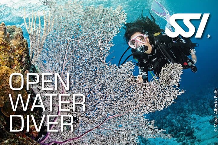 Tamarindo SSI Open Water Diver Course: Learn to Scuba in Costa Rica’s Pacific photo 2