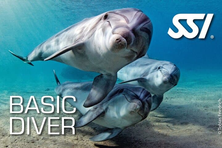 Try Scuba Diving in Tamarindo: Beginner Two-Dive Intro with Boat Transfer photo 2