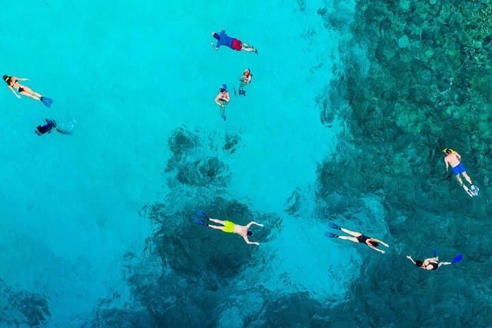 Snorkel the Arch at Land's End: Cabo San Lucas El Arco & Pelican Rock Boat Tour photo 6
