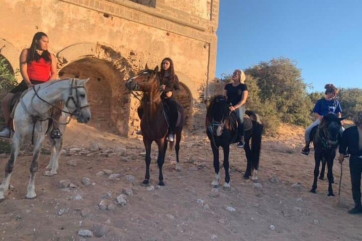 Gallop the Sands: Horseback Riding on Essaouira Beach with Transport