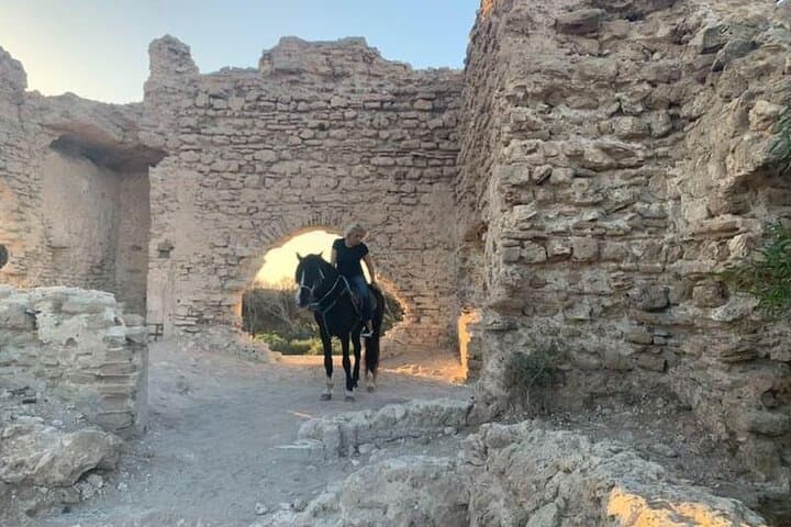 Gallop the Sands: Horseback Riding on Essaouira Beach with Transport photo 2