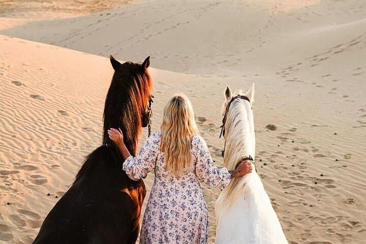 Gallop the Sands: Horseback Riding on Essaouira Beach with Transport photo 3